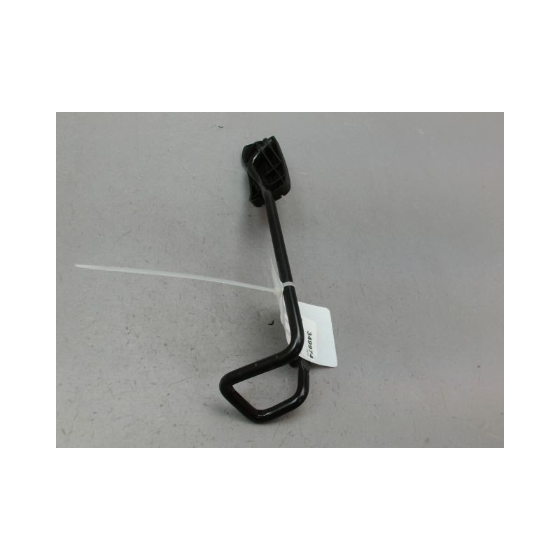 PEDALE ACCELERATEUR RENAULT CLIO CAMPUS II Phase 1 2006-2009