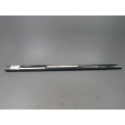 PROTECTION PORTE AVD