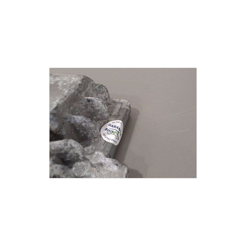 CALCULATEUR MOTEUR FORD C-MAX