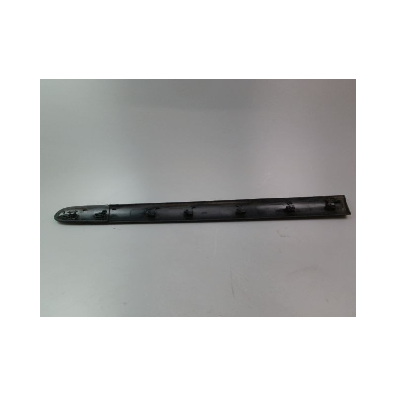 PROTECTION PORTE AVANT GAUCHE RENAULT CLIO CAMPUS II Phase 2 2009-2012