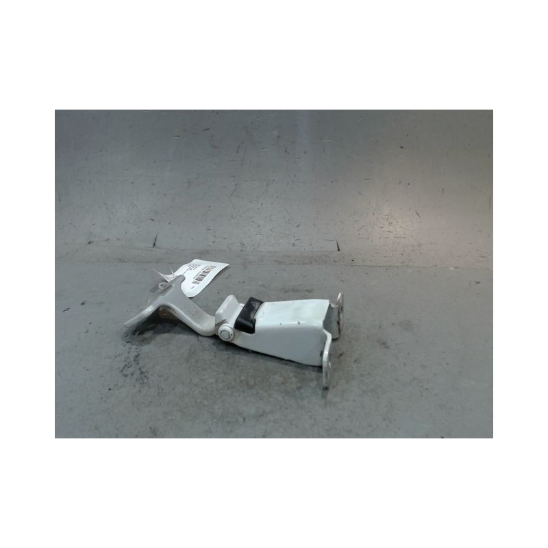 CHARNIERE INF PORTE BATTANTE ARG RENAULT KANGOO
