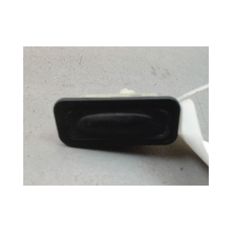 POIGNEE EXTERIEURE HAYON RENAULT CLIO IV Phase 1 2012-...