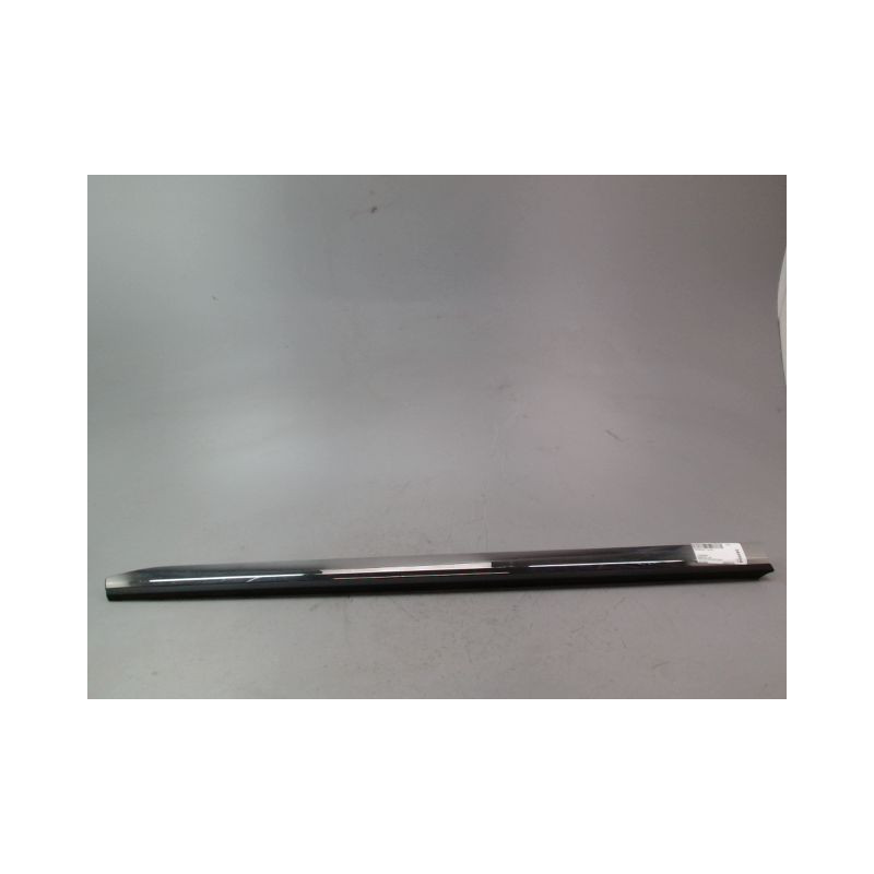 PROTECTION PORTE AVANT GAUCHE RENAULT CLIO