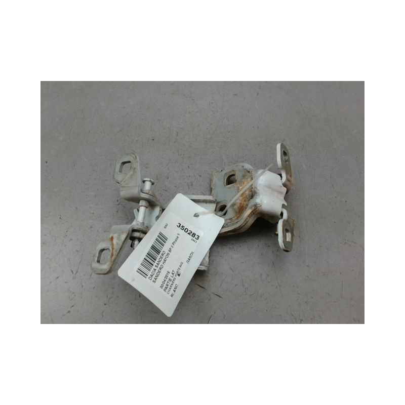 CHARNIÈRE PORTE AVG DACIA SANDERO II Phase 1 2012-...