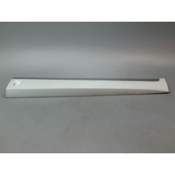 PROTECTION PORTE AVD