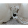 RESERVOIR LAVE-GLACE AVANT PEUGEOT BOXER