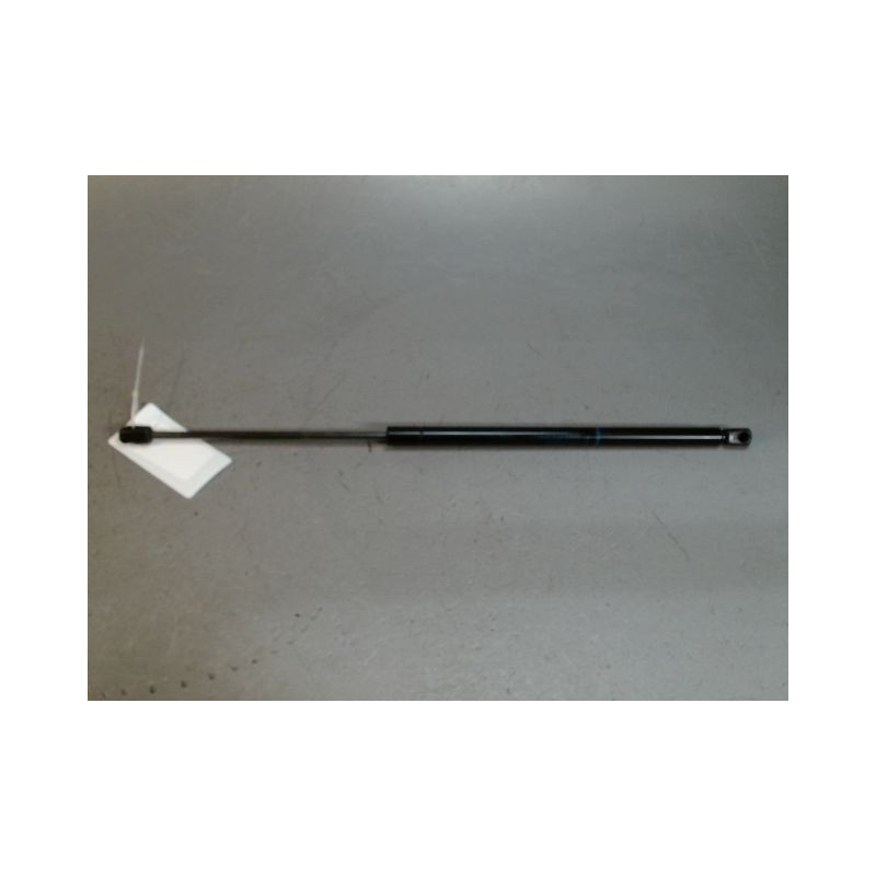 VERIN HAYON D RENAULT SCENIC I PH2 99-03