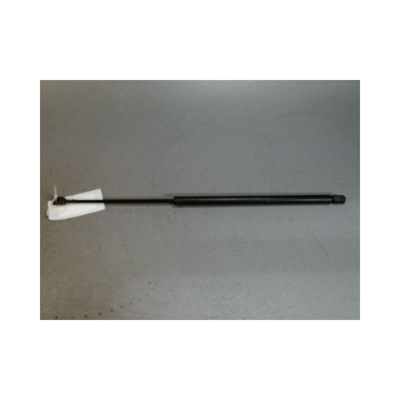 VERIN HAYON G RENAULT SCENIC I PH2 99-03