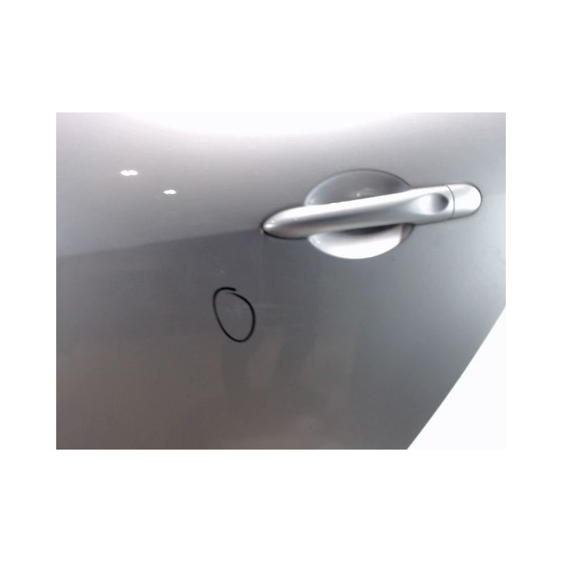 PORTE ARRIERE GAUCHE RENAULT SCENIC