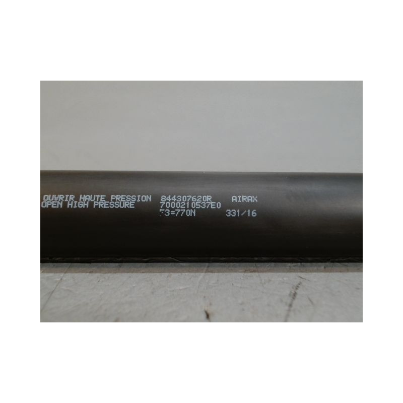 VERIN HAYON D RENAULT CLIO