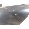 PORTE ARRIERE GAUCHE RENAULT CLIO