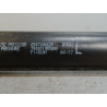 VERIN CAPOT G RENAULT MEGANE