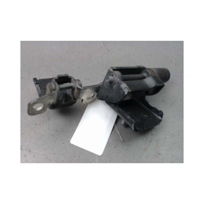 CHARNIÈRE PORTE ARD RENAULT CLIO III Phase 1 2005-2009