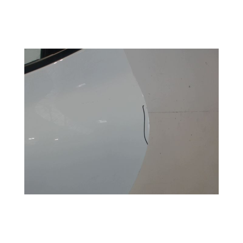 PORTE ARRIERE GAUCHE RENAULT CLIO