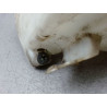 RESERVOIR LAVE-GLACE AVANT BMW SERIE 3 (E46) 01-2005