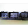 CALCULATEUR MOTEUR RENAULT CLIO III PH.2 09-14