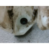 RESERVOIR LAVE-GLACE AVANT CITROEN C-CROSSER 2007-