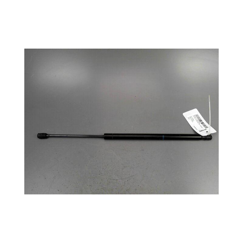 VERIN HAYON G RENAULT SCENIC MONOSP. II Phase 1 2003-2006