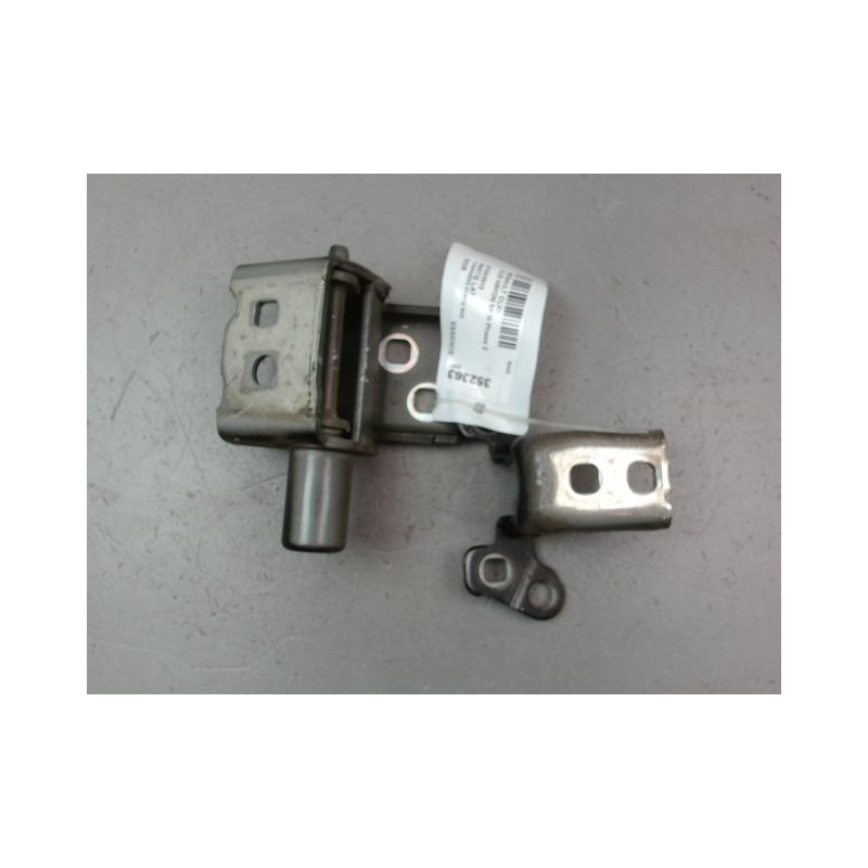 CHARNIÈRE PORTE AVG RENAULT CLIO III Phase 2 2009-2014