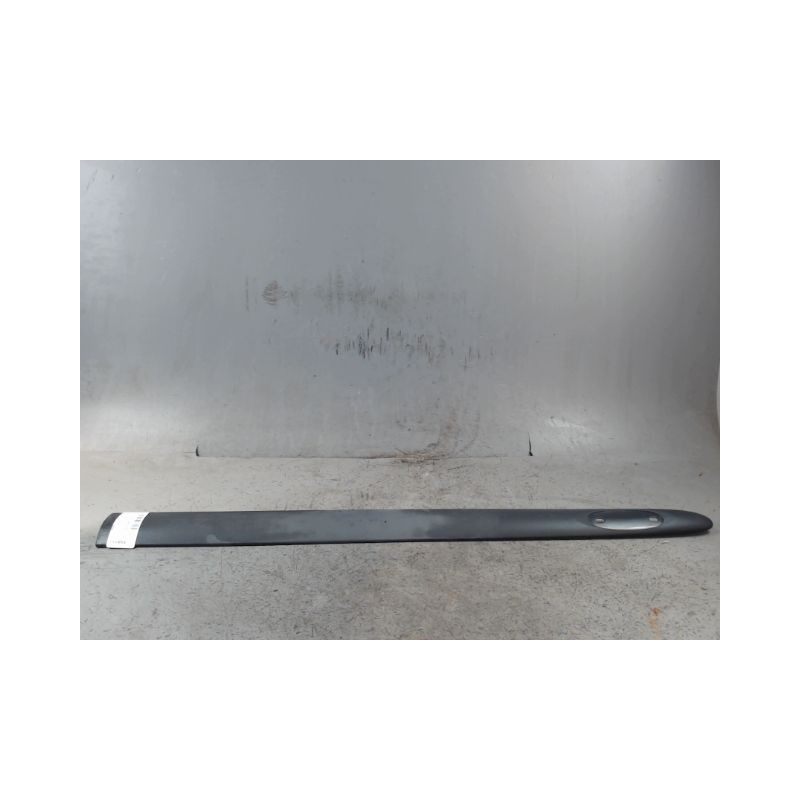 PROTECTION PORTE AVANT GAUCHE RENAULT CLIO II CAMPUS 06-