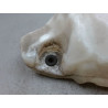 RESERVOIR LAVE-GLACE AVANT LANCIA YPSILON 2003-