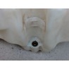 RESERVOIR LAVE-GLACE AVANT RENAULT CLIO II PH.1 98-2001