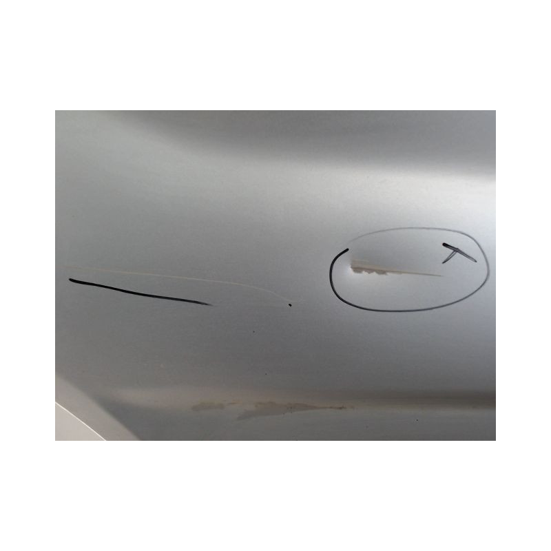 PORTE AVANT GAUCHE RENAULT TRAFIC
