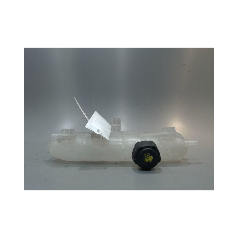 VASE EXPANSION RENAULT ZOE