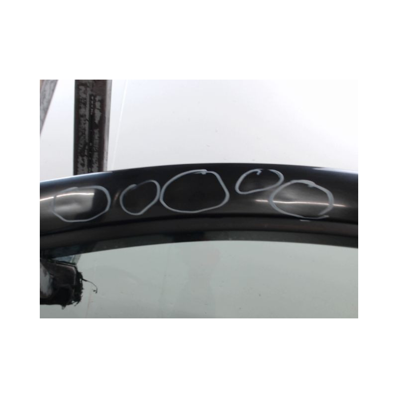 PORTE AVANT GAUCHE RENAULT CLIO III Phase 1 2005-2009