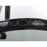 PORTE AVANT GAUCHE RENAULT CLIO III Phase 1 2005-2009
