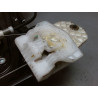 MECANISME+MOTEUR LEVE-GLACE AVANT DROIT LAND ROVER R.ROVER