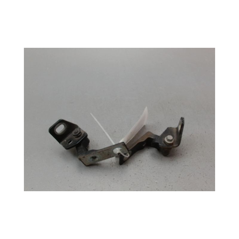 CHARNIÈRE PORTE ARG FORD FOCUS III 2011-...