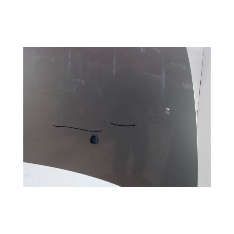 CAPOT CITROEN C3 2005-