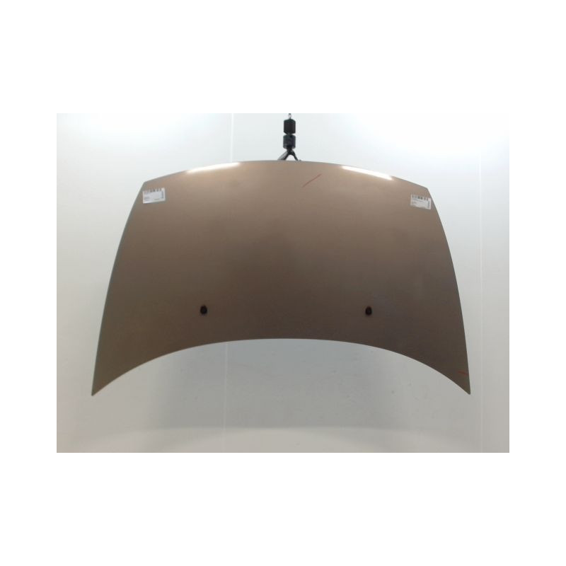 CAPOT CITROEN C3 I Phase 2 2005-2010