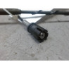 ANTENNE RADIO CITROEN C4 PICASSO LONG