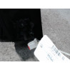 RETROVISEUR EXTERIEUR ELECTRIQUE GAUCHE FORD FOCUS 2008-