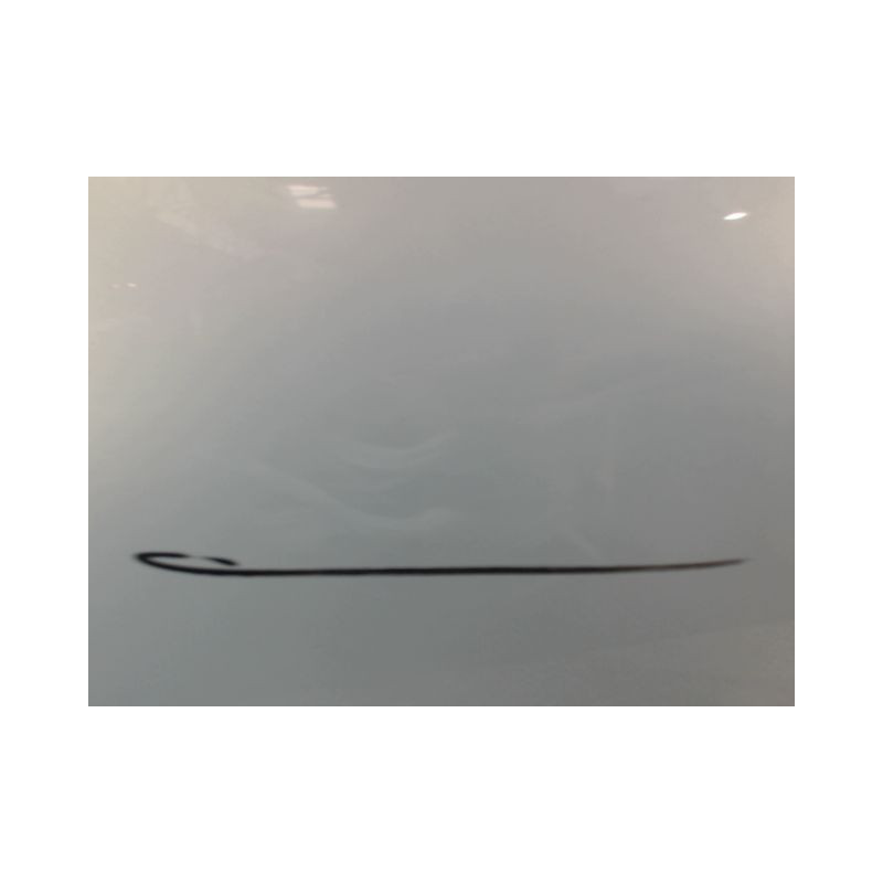 PORTE AVANT GAUCHE RENAULT CLIO II PH.1 98-2001