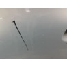 PORTE AVANT GAUCHE RENAULT CLIO II PH.1 98-2001