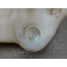 RESERVOIR LAVE-GLACE AVANT CITROEN BERLINGO