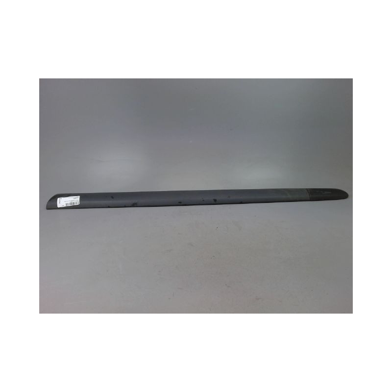 PROTECTION PORTE AVANT GAUCHE RENAULT CLIO CAMPUS II Phase 1 2006-2009