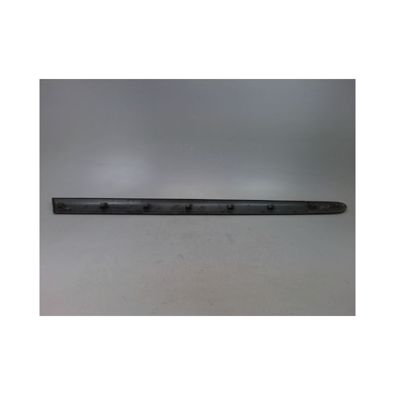 PROTECTION PORTE AVANT GAUCHE RENAULT CLIO CAMPUS II Phase 1 2006-2009