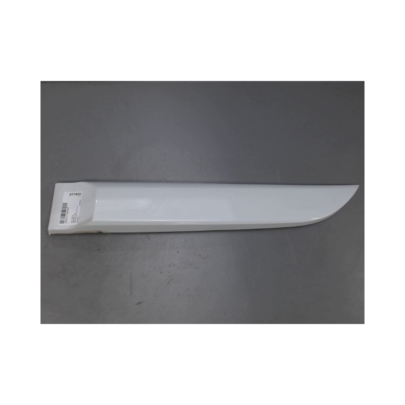 PROTECTION PORTE ARRIERE GAUCHE RENAULT MEGANE
