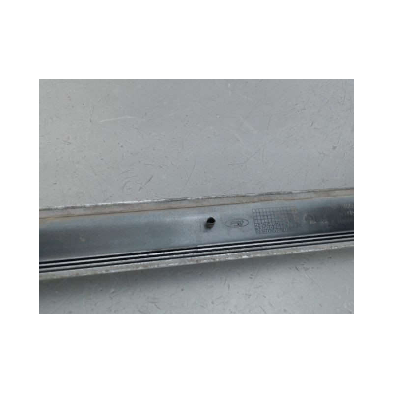PROTECTION PORTE AVANT GAUCHE FORD S-MAX