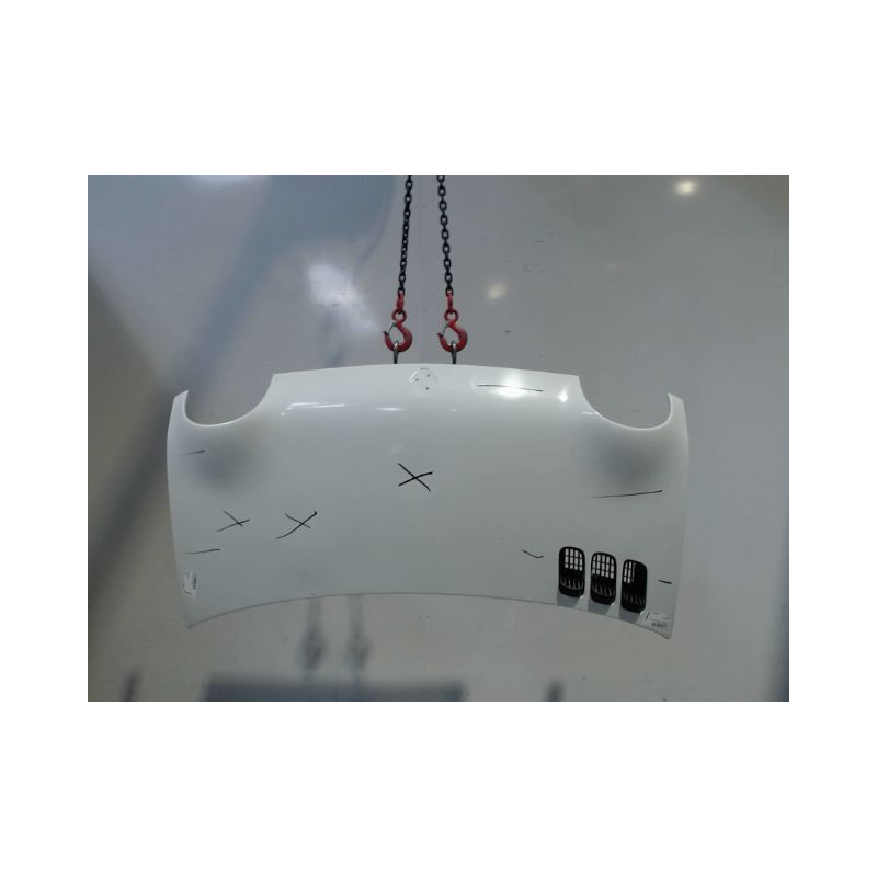 CAPOT RENAULT TWINGO PH.3 2000-2007