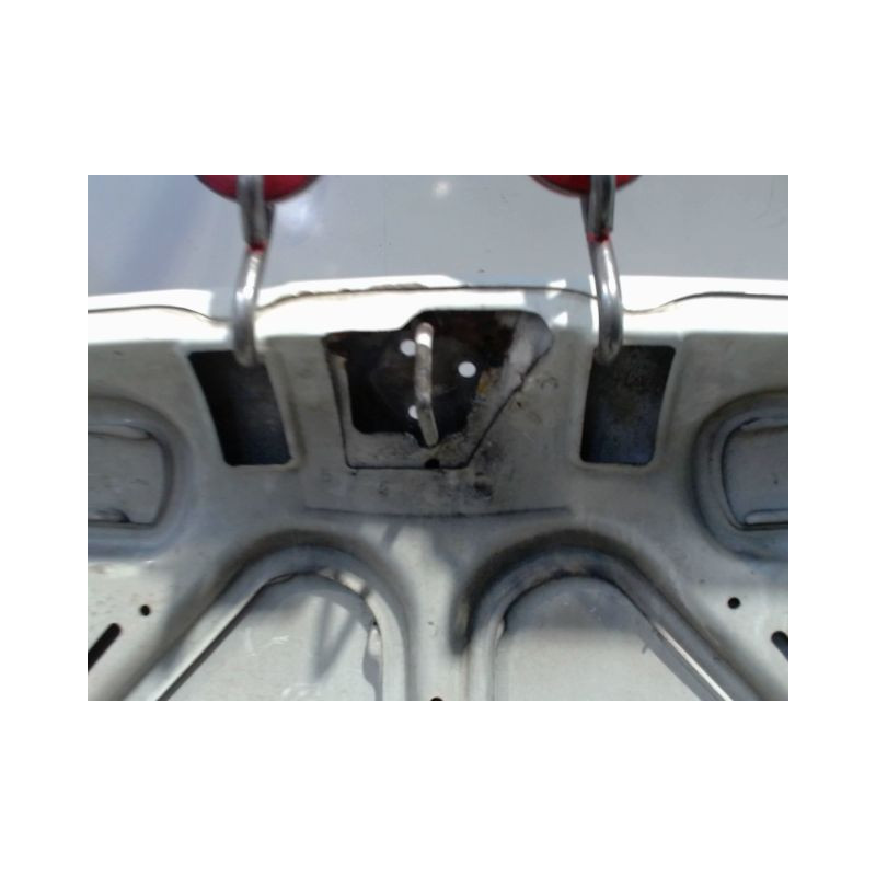 CAPOT RENAULT TWINGO PH.3 2000-2007