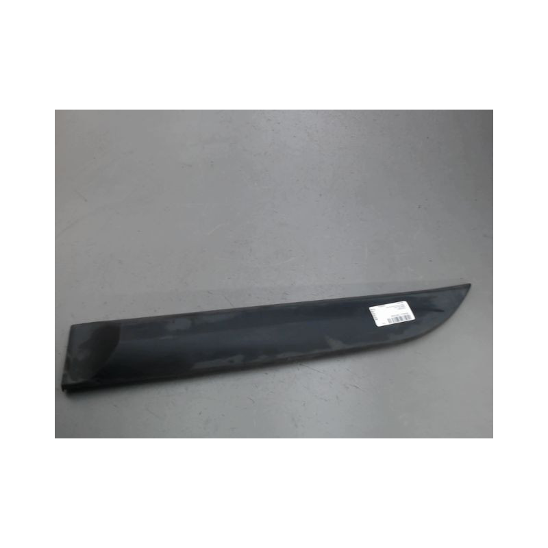 PROTECTION PORTE ARRIERE GAUCHE RENAULT MEGANE