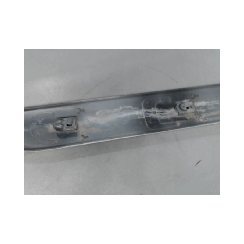 PROTECTION PORTE ARRIERE GAUCHE CITROEN C3