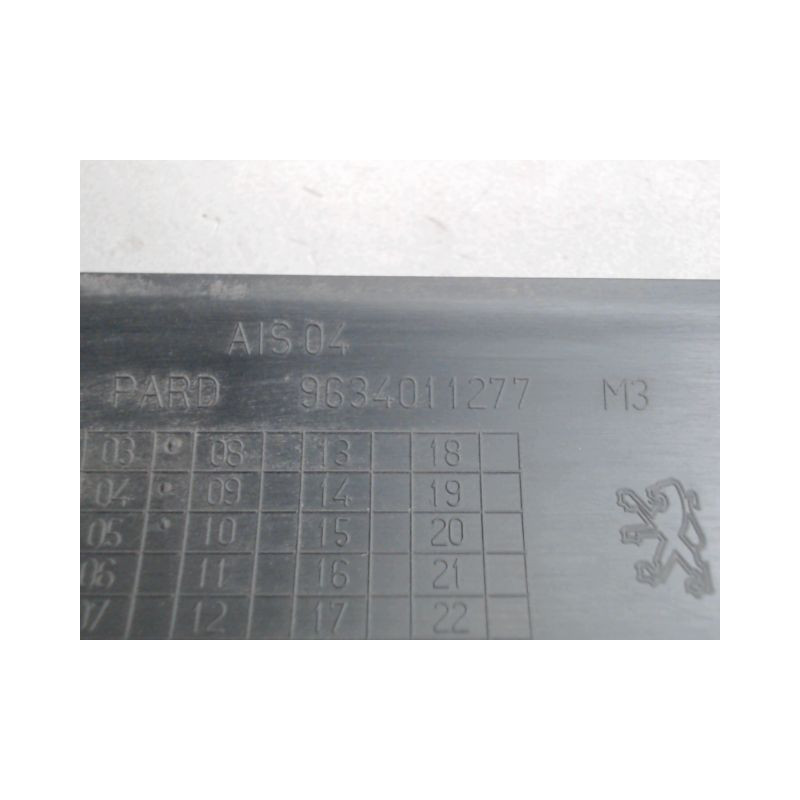 PROTECTION PORTE ARRIERE DROIT PEUGEOT 307