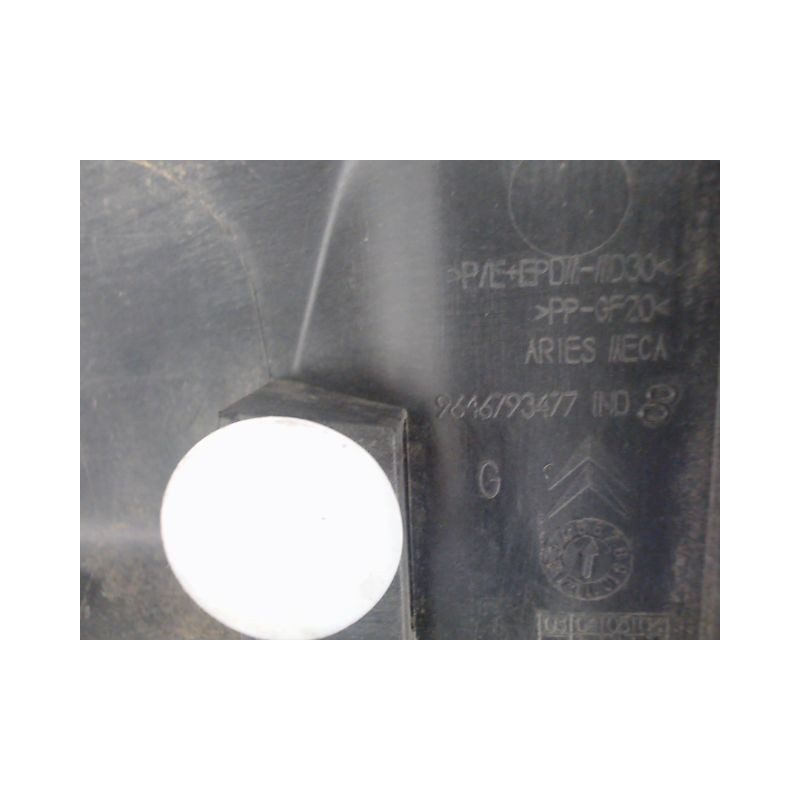 PROTECTION PORTE ARRIERE GAUCHE CITROEN C4