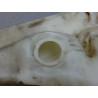 RESERVOIR LAVE-GLACE AVANT PEUGEOT 605 94-99